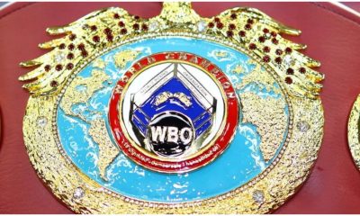 WBO Belt 1 Frontkick.online