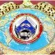 WBO Belt 1 Frontkick.online
