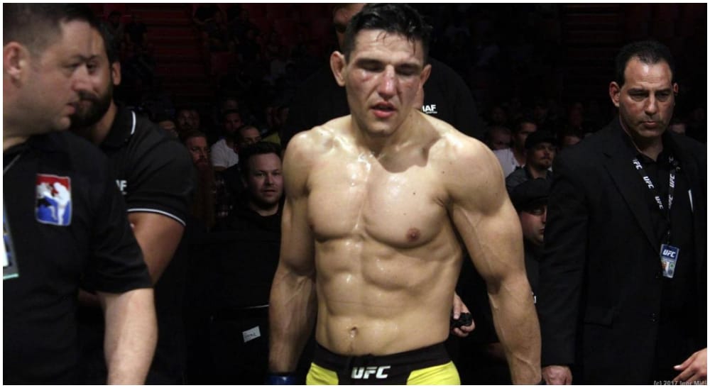 Damir Hadzovic MMA UFC 1 Frontkick.online