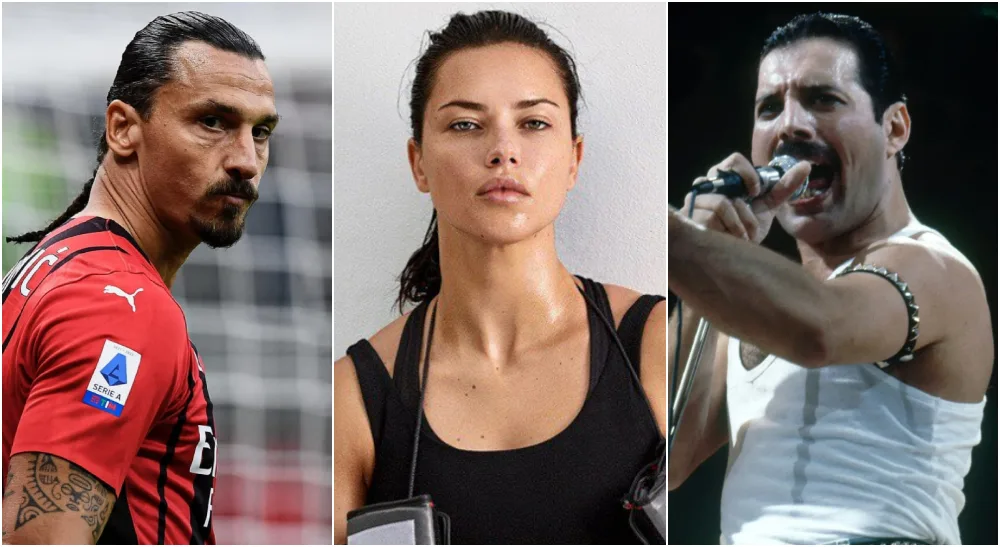 Celebrities who can fight 1 Frontkick.online