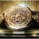 PFL belt MMA Frontkick.online