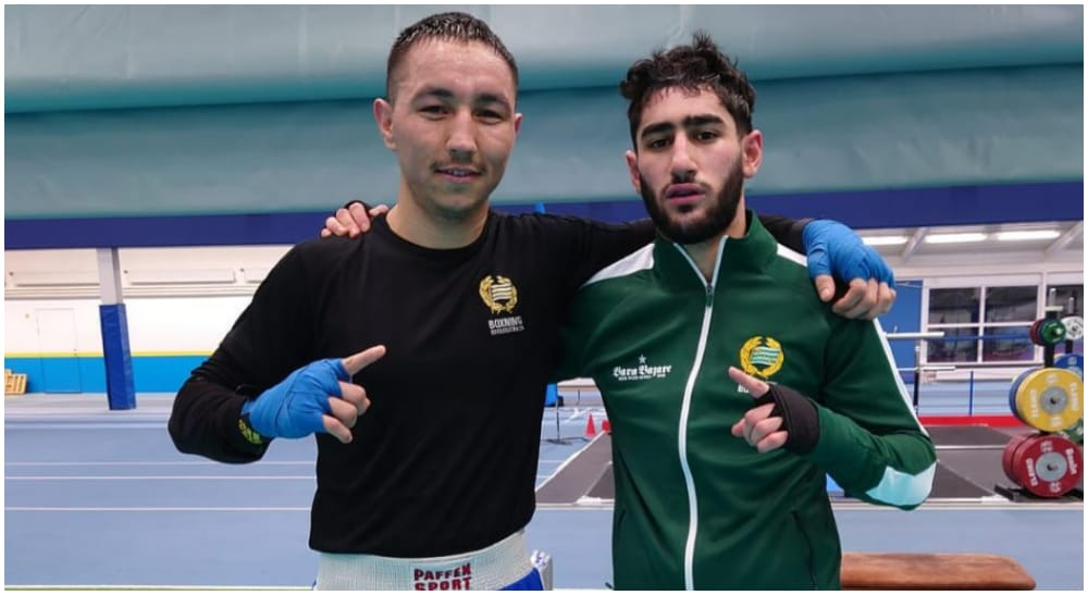 Ibrahim Bakhtiari Alan Zangana Boxing Frontkick.online