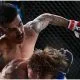 Wolf Fight Promotion 9