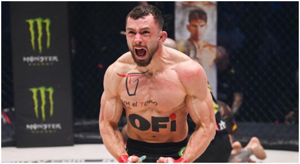 Igor Michaliszyn MMA Frontkick.online