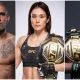 UFC divisions in 2023 Frontkick.online