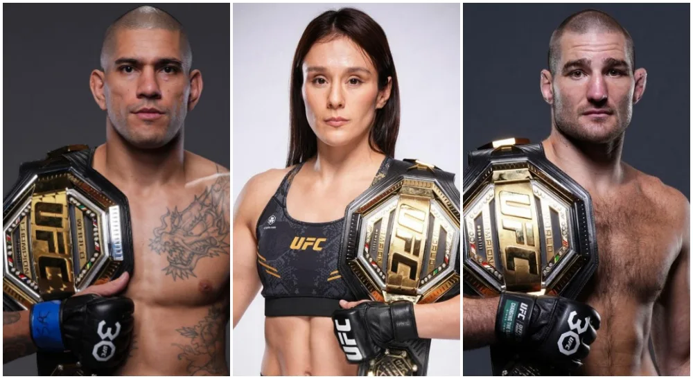 UFC divisions in 2023 Frontkick.online