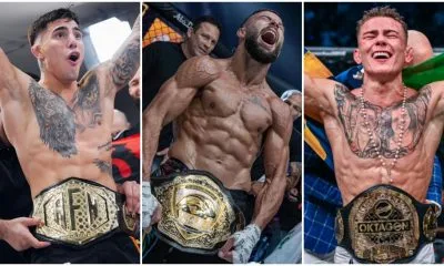 Official Swedish MMA Rankings 1 Frontkick.online