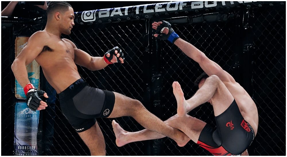 Theodor Berggren MMA Frontkick.online