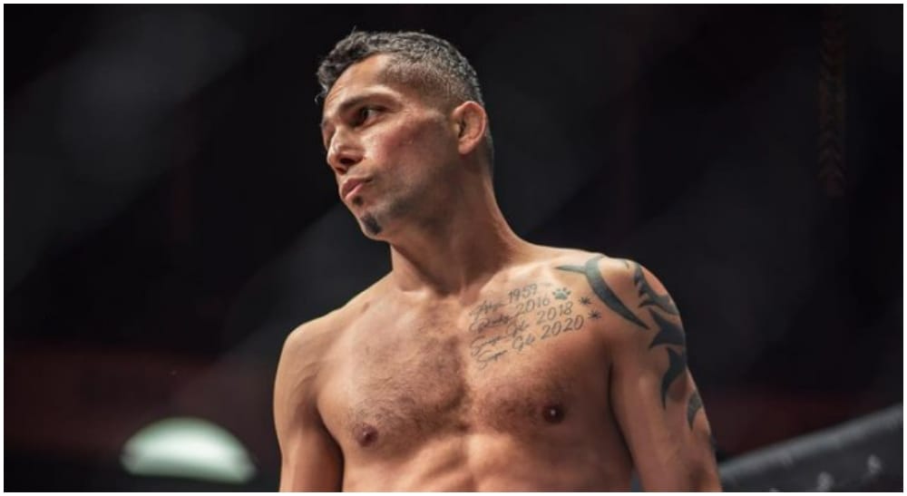 Ebrahim Hosseinpourg MMA Frontkick.online