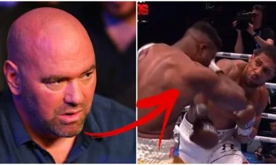 Dana White Francis Ngannou boxing 2 Frontkick.online