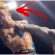 Crazy knockout Frontkick.online