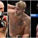 Swedish MMA Rankings 3 Frontkick.online