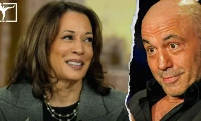 MMA news 1 Frontkick