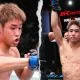 Tatsuro Taira 1 UFC Frontkick