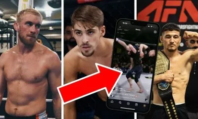 AFN Kumite Resultat MMA Grappling Frontkick.online