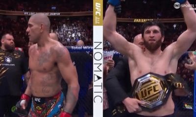 Alex Pereira vs Magomed Ankalaev MMA UFC 313