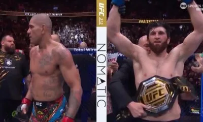 Alex Pereira vs Magomed Ankalaev MMA UFC 313