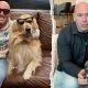 Joe Rogan Dana White Power Slap MMA UFC Frontkick