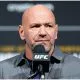 UFC 317 Dana White Frontkick