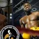 ABP Fight Night 12 Frontkick.online boxning