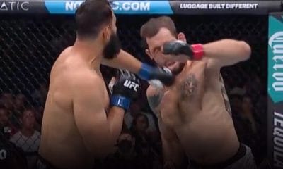 Dominick Reyes Nikita Krylov UFC 314 MMA Frontkick