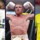 Hur mycket tjänar Canelo Frontkick.online