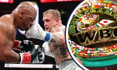 Jake Paul Julio Cesar Chavez Jr Mike Tyson WBC Boxing Frontkick.online
