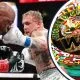 Jake Paul Julio Cesar Chavez Jr Mike Tyson WBC Boxing Frontkick.online