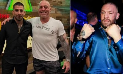 Joe Rogan Conor Mcgregor UFC MMA Frontkick