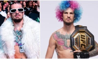 Sean O'Malley MMA Frontkick