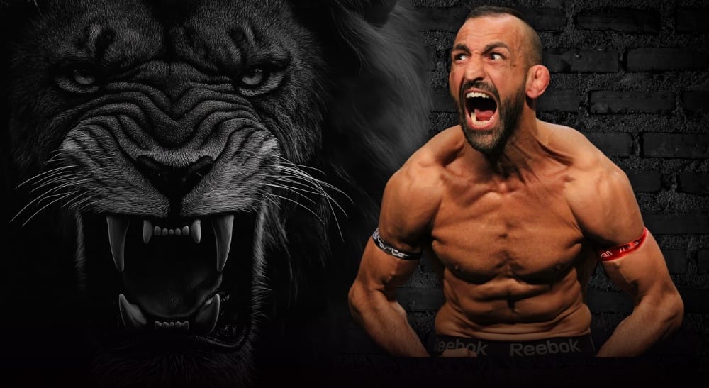 Reza Madadi Superior Challenge MMA Frontkick