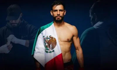 Yair Rodriguez UFC MMA Frontkick