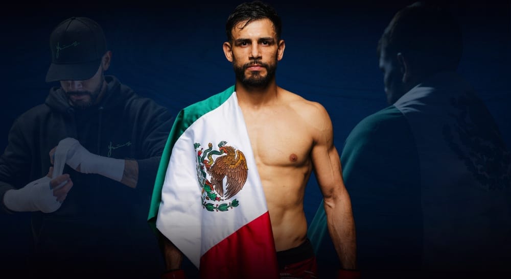 Yair Rodriguez UFC MMA Frontkick