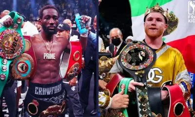 Canelo vs Crawford Frontkick.online