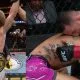 Merab Dvalishvili UFC 316 MMA