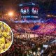 Svensk MMA Frontkick.online