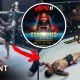 Najib Adams AFN 11 MMA Frontkick.online