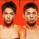 UFC Vegas 108 Frontkick.online