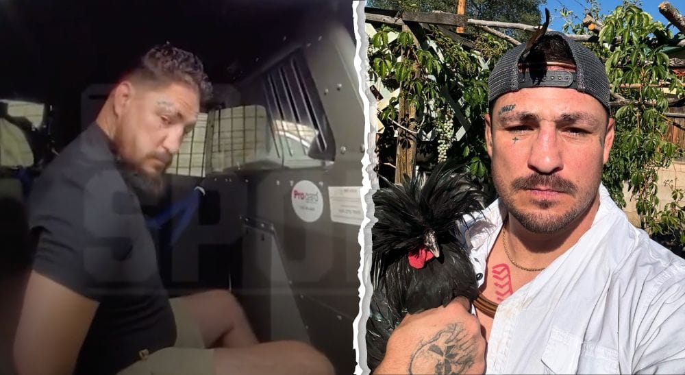 UFC-veteranen Diego Sanchez MMA UFC