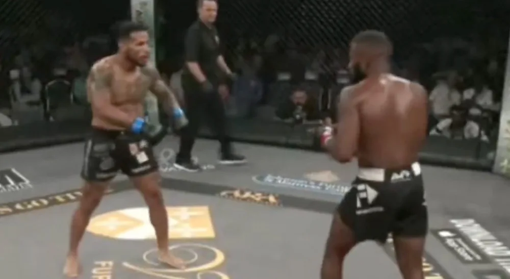 Max Holloway knockout MMA