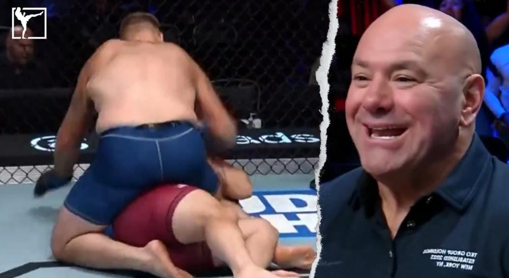DWCS knockout MMA Frontkick