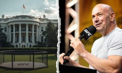 Dana White UFC White House Donald Trump