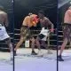 Costas Nanga boxning Frontkick.online