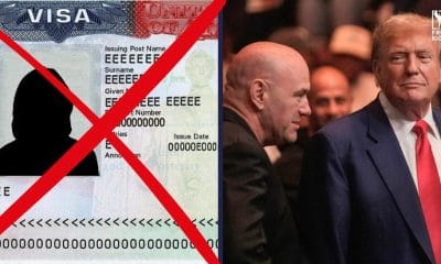 UFC visum USA Frontkick.online