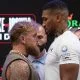 Paul vs Joshua boxning Frontkick.online