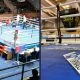 Svensk boxning Frontkick.online
