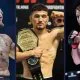 AFN 12 matcher Frontkick.online (1)