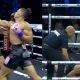 Andrew Tate boxing