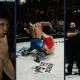 Fawad Safari Superior Frontkick.online