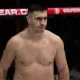 Nermin Hajdarpasic Superior Frontkick.online